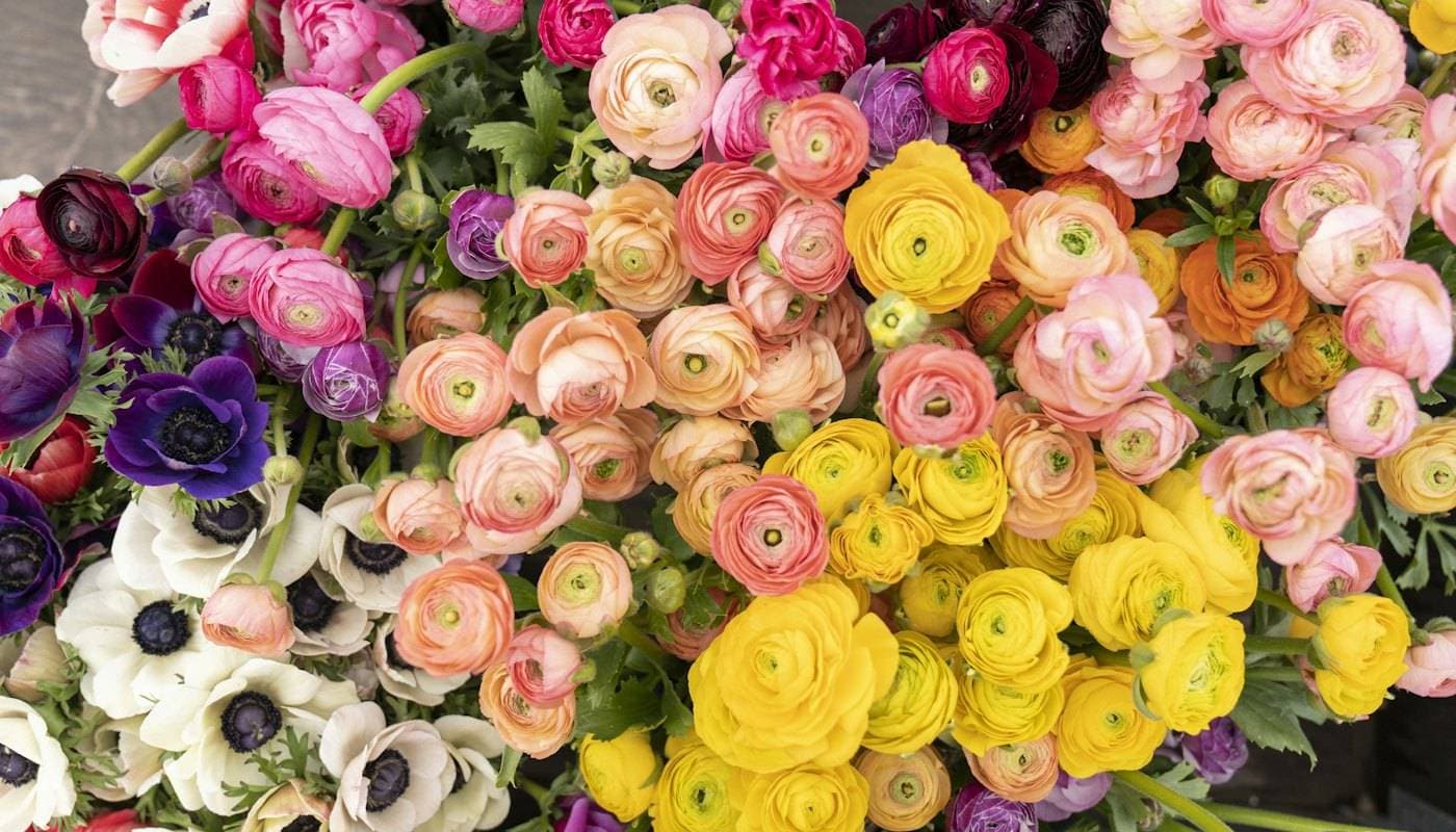 Buckets of fresh flowers